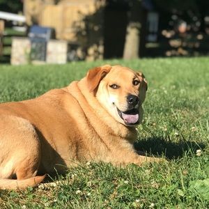 Meet your Posher, Juliet